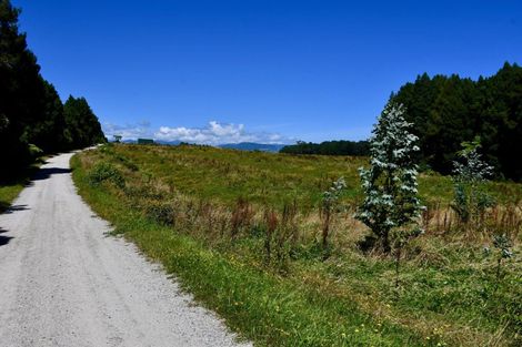 Photo of property in 216 Kongahu Swamp Road, Little Wanganui, Karamea, 7893