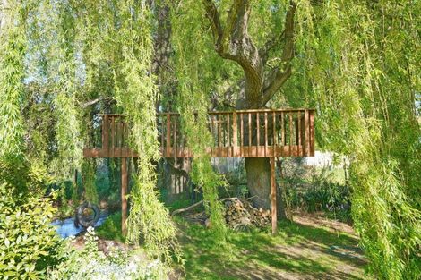 Photo of property in 10 Newton Place, Amberley, 7410