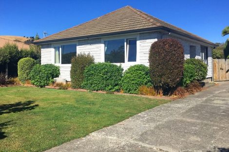 Photo of property in 244 Opawa Road, Hillsborough, Christchurch, 8022
