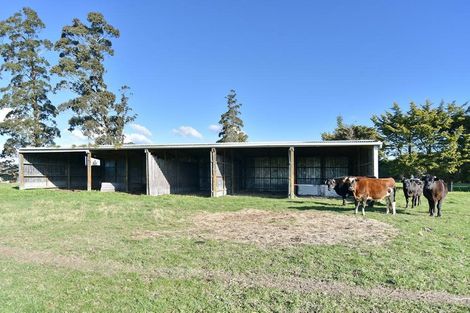 Photo of property in 144 Revells Road, Flaxton, Rangiora, 7691