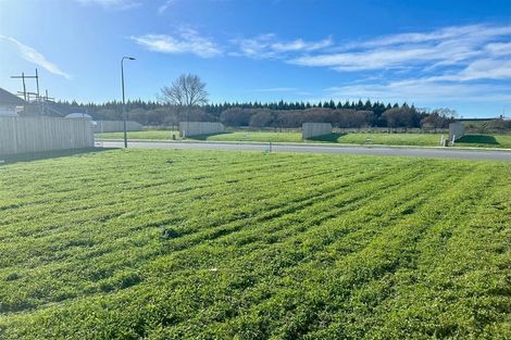 Photo of property in 3 Bastings Street, Kaiapoi, 7630