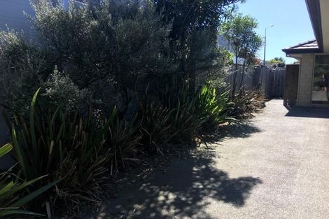 Photo of property in 73a Mandeville Street, Riccarton, Christchurch, 8011