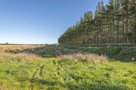 Photo of property in 148 Mchughs Road, Swannanoa, 7692