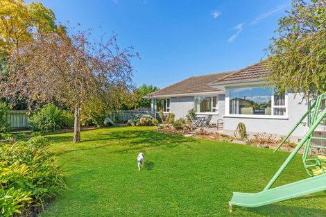 Photo of property in 53 Whitefield Street, Kaiapoi, 7630