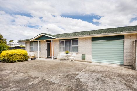 Photo of property in 16a Sandilands Street, Feilding, 4702