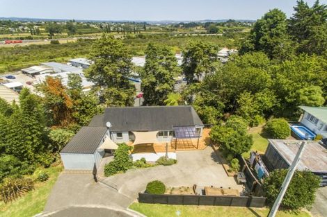 Photo of property in 45 Collingwood Street, Judea, Tauranga, 3110