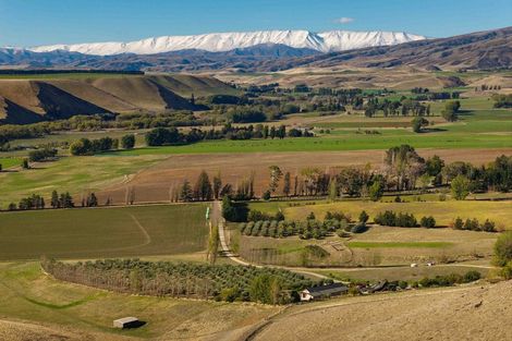 Photo of property in 58 Thomsons Gorge Road, Tarras, Cromwell, 9383