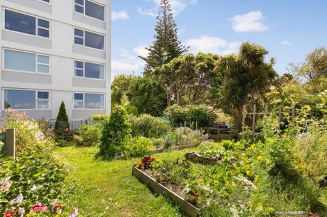 Photo of property in 83 Washington Avenue, Brooklyn, Wellington, 6021