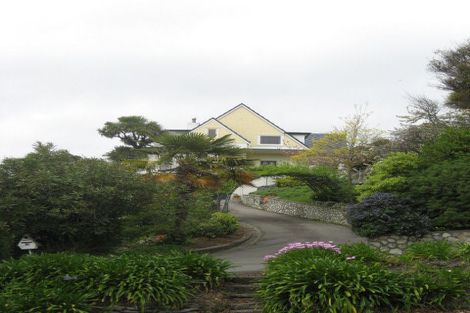 Photo of property in 41 Shelbourne Street, Nelson, 7010