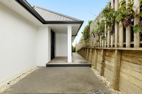 Photo of property in 4a Regent Street, Brookfield, Tauranga, 3110