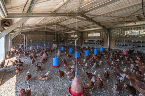 Photo of property in 397 Glentui Bush Road, Glentui, Oxford, 7495