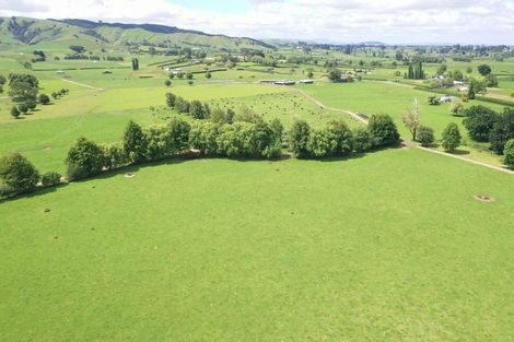 Photo of property in 231 Grice Road, Rotoorangi, Cambridge, 3495