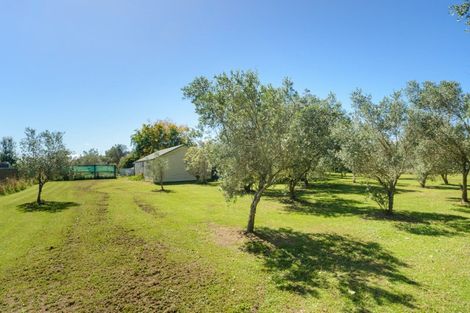 Photo of property in 1590 State Highway 3, Awahuri, Palmerston North, 4476