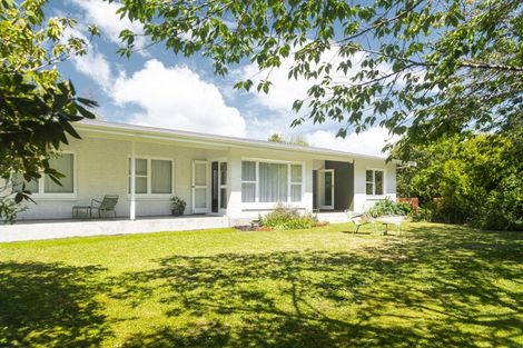 Photo of property in 13 Mole Street, Greytown, 5712