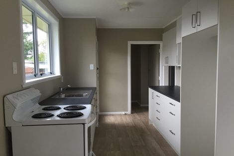 Photo of property in 53 Puataata Road, Turangi, 3334