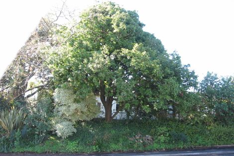 Photo of property in 26 Oakley Avenue, Claudelands, Hamilton, 3214