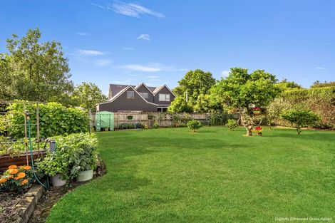 Photo of property in 88 Allen Street, Morrinsville, 3300