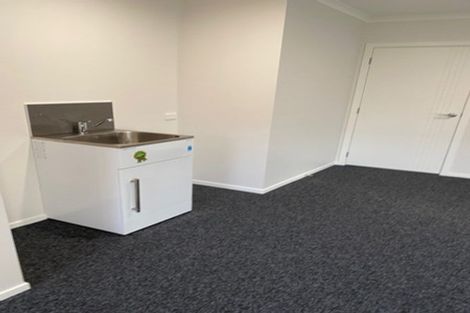 Photo of property in 52 Regan Street, Stratford, 4332