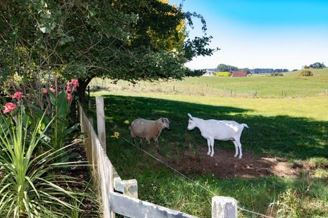 Photo of property in 269 Scott Road, Morrinsville, 3372