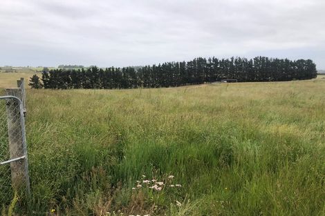 Photo of property in 133 Spur Road West, Colyton, Feilding, 4775