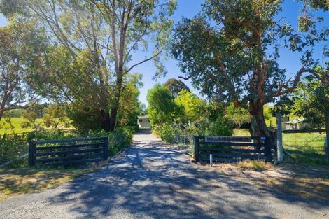 Photo of property in 1519 Marama Road, Seddon, 7285