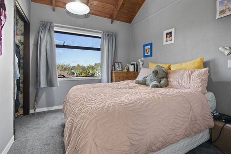 Photo of property in 53 Aurora Terrace, Hillcrest, Hamilton, 3216