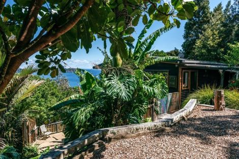 Photo of property in 33 Belle Terrace, Waiheke Island, 1971