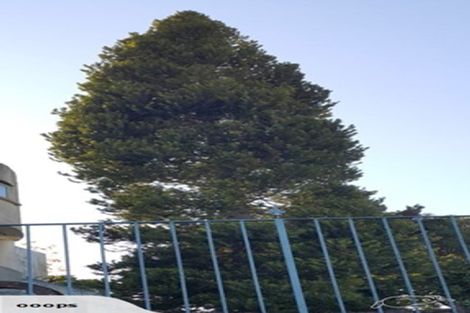 Photo of property in 9 Fowlers Avenue, Frankton, Hamilton, 3204