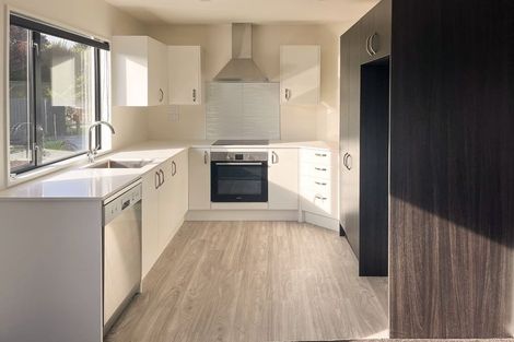 Photo of property in 1/9 Raupo Street, Bromley, Christchurch, 8062