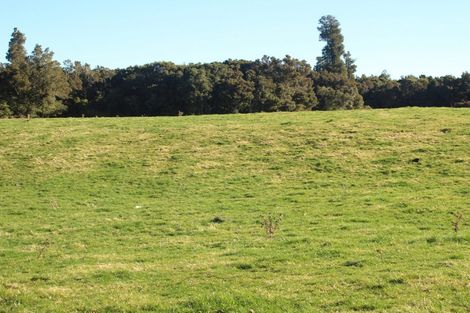 Photo of property in Matapuna Road, Horopito, Raetihi, 4696