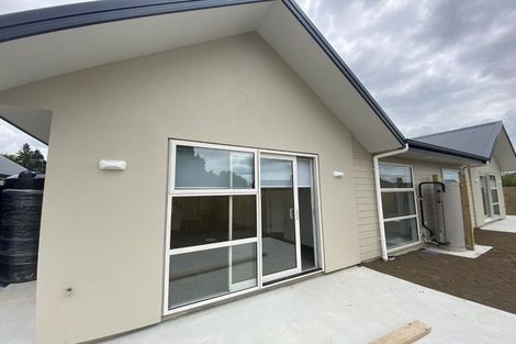 Photo of property in 3/45 Tranmere Road, Fairfield, Hamilton, 3214