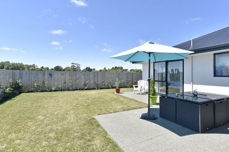 Photo of property in 45 Mcquillan Avenue, Woodend, 7610