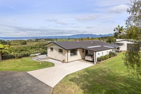 Photo of property in 274 Kauri Point Road, Tahawai, Katikati, 3170