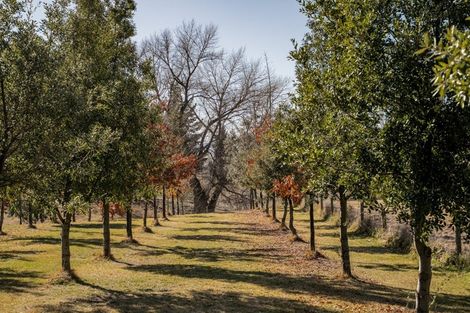 Photo of property in 11 Thelma Place, Cromwell, 9384