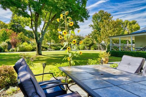 Photo of property in 253 Havelock Road, Akina, Hastings, 4122