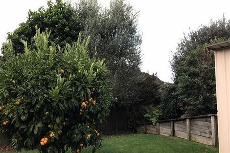 Photo of property in 241 Cheyne Road, Pyes Pa, Tauranga, 3112