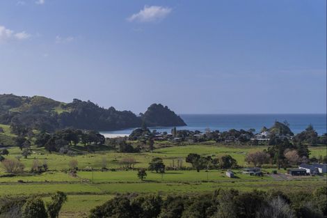Photo of property in Te Punga, 151f Te Punga Road, Whangapoua, Coromandel, 3582