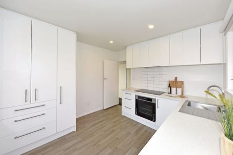 Photo of property in 1/98 Mathesons Road, Phillipstown, Christchurch, 8011