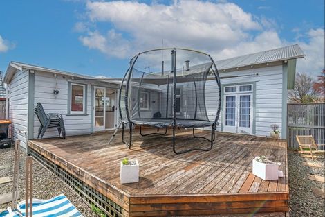 Photo of property in 19 Manson Street, Terrace End, Palmerston North, 4410