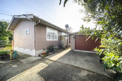 Photo of property in 9 Haggitt Street, Feilding, 4702