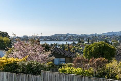 Photo of property in 15 Wiremu Street, Brookfield, Tauranga, 3110