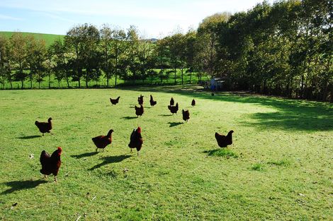 Photo of property in 566 School Road, Tomarata, Wellsford, 0974