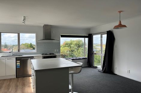 Photo of property in 15b Ridout Street, Maeroa, Hamilton, 3200