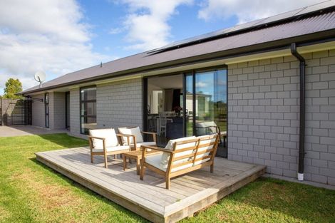 Photo of property in 633 Kakaramea Road, Ngahinapouri, Te Awamutu, 3876