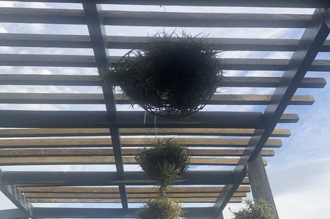 Photo of property in 309 Riverslea Road North, Parkvale, Hastings, 4122