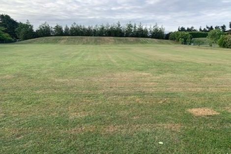 Photo of property in 12c Avonie Place, Rolleston, Christchurch, 7678