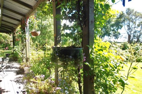 Photo of property in Seaforth Homestead, 246 Seadown Road, Seadown, Timaru, 7973