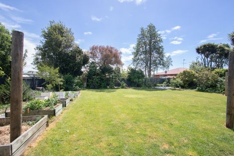 Photo of property in 79 Trevors Road, Hampstead, Ashburton, 7700
