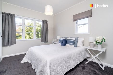 Photo of property in 113 Chapman Street, Wakari, Dunedin, 9010