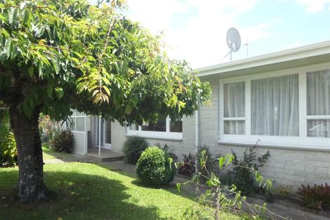 Photo of property in 1b Mahoe Street, Matua, Tauranga, 3110